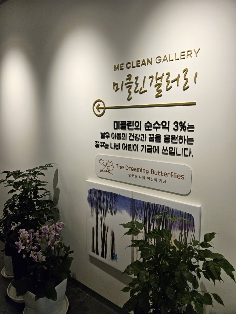 나비피부과의원 이미지