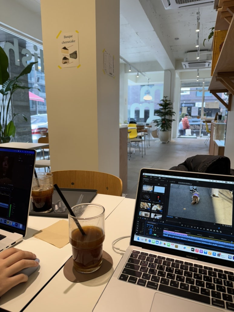 마일드모디쉬클럽 이미지