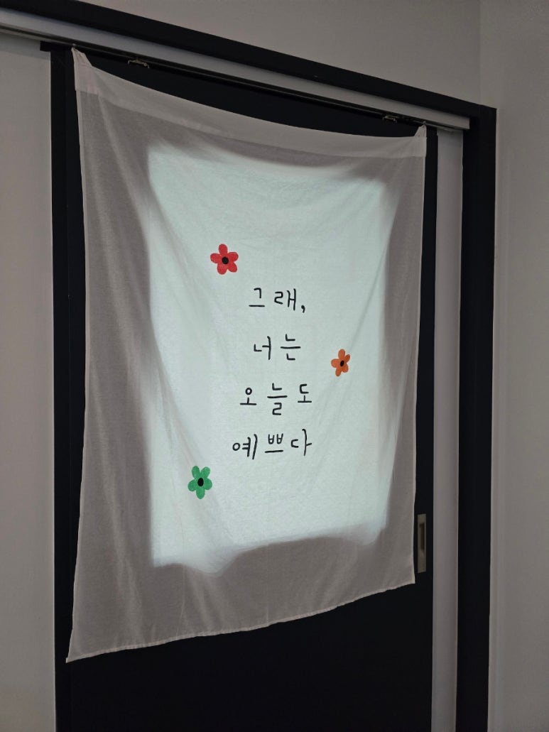 쉘모아 이미지