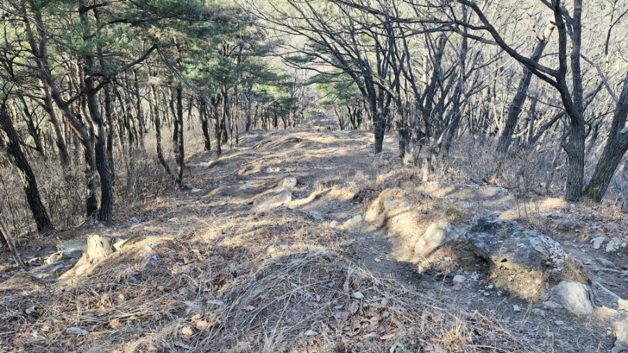 내리막길 심함 이미지