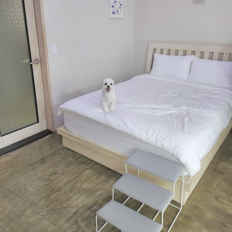 어나더153애견펜션 이미지