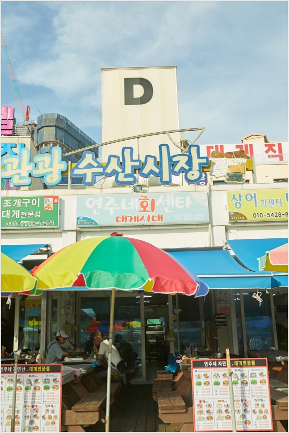 연주네 이미지