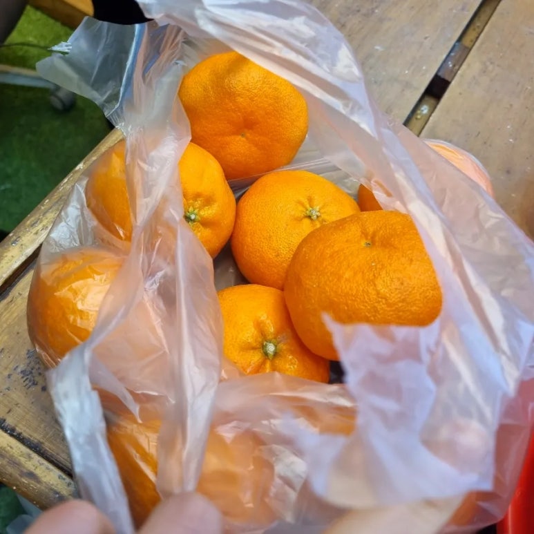카페, 멜로디어스 이미지