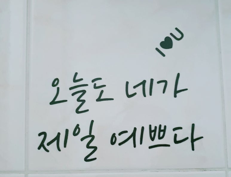 파라팜 이미지
