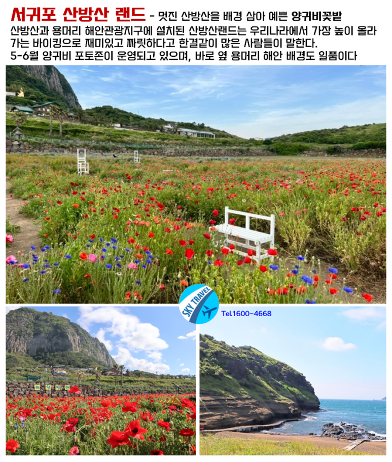 산방산랜드 이미지