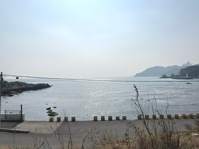 명품물회 송정본점 이미지