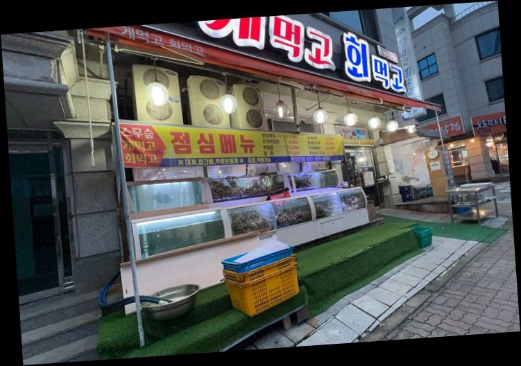 주문진게먹고회먹고 이미지