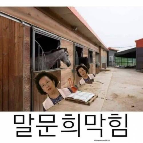 크린토피아강남 이미지