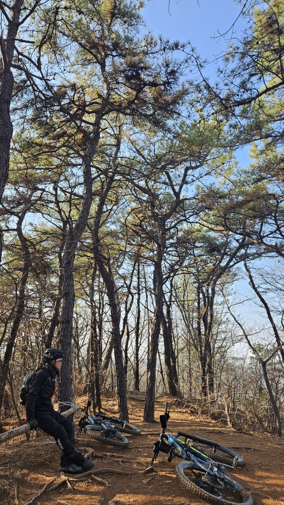 동산윤활유 이미지