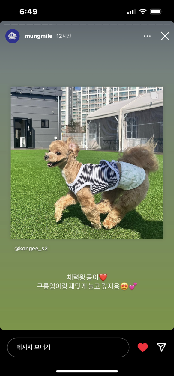 멍마일 이미지