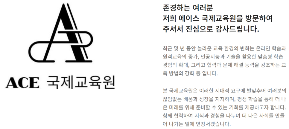 에이스국제교육원 이미지