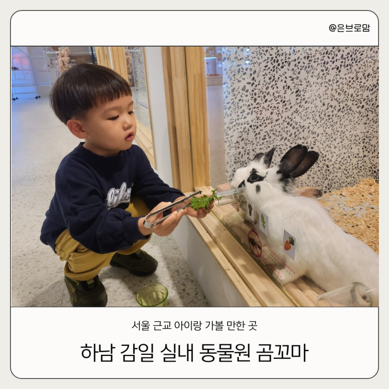 꼬마곰놀이터 이미지