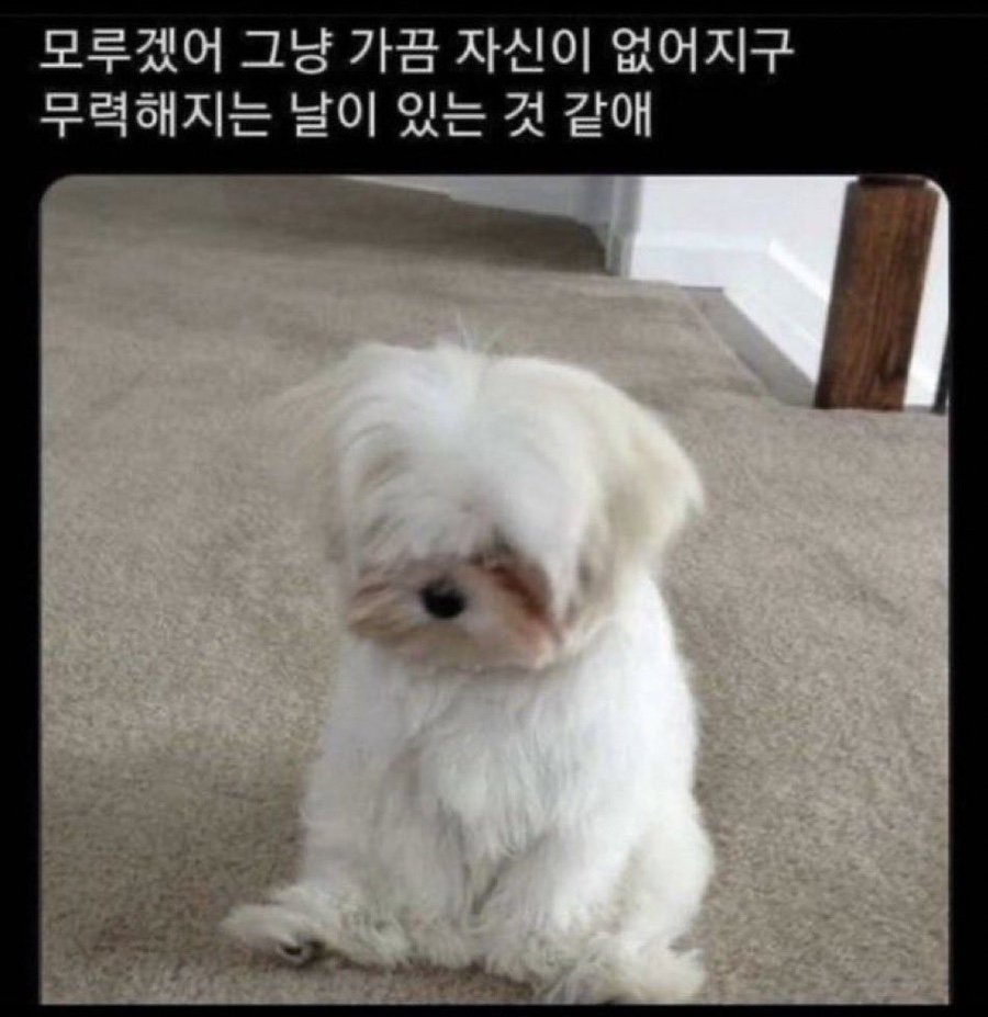 없음 이미지