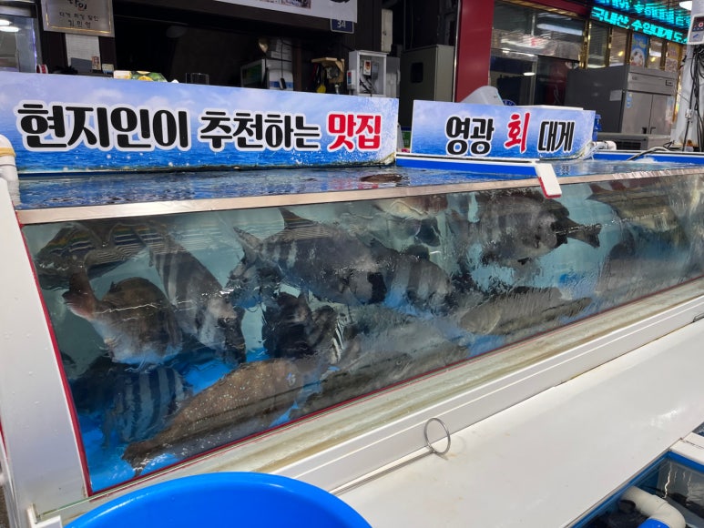 포항회센타 이미지