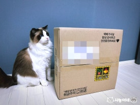데이든(DAYDEN) 이미지