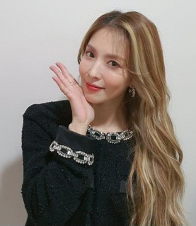 하우헤어 이미지