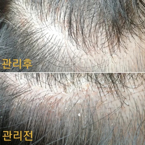 나미나미 이미지