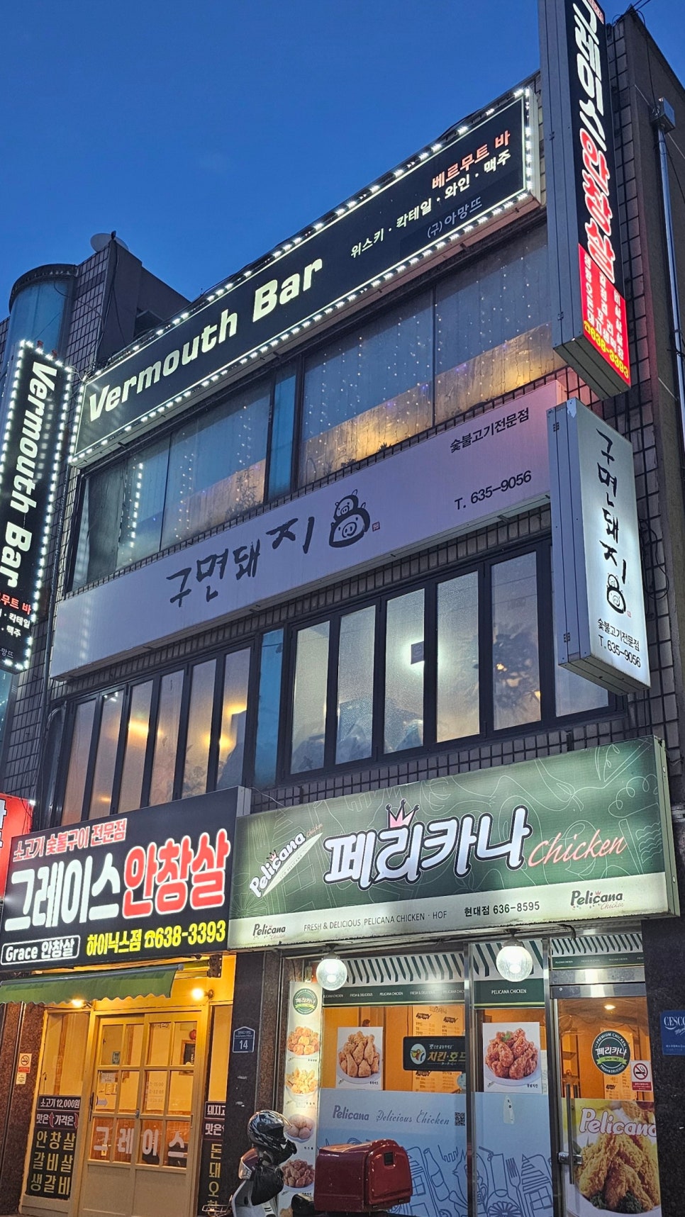 구면돼지 이미지