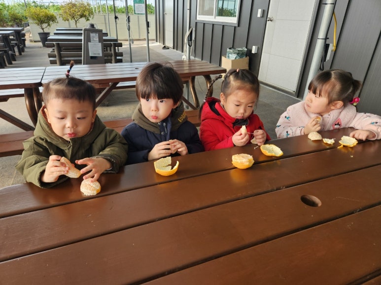 도토리숲 어린이집 이미지