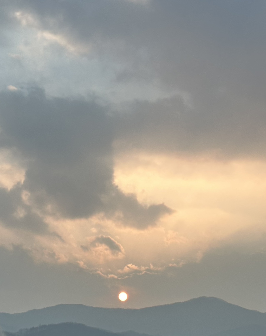 육회바른연어 서산점 이미지