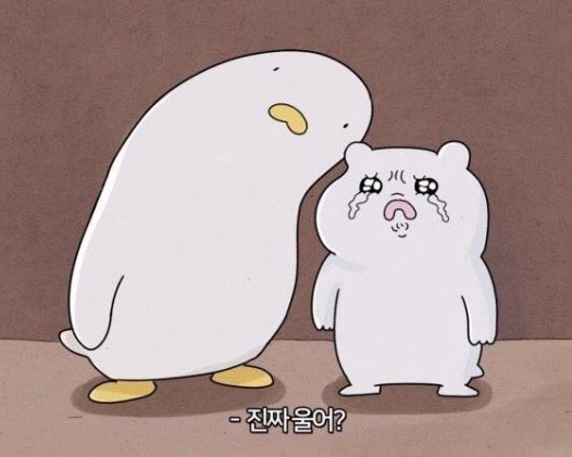오늘의케이크 이미지