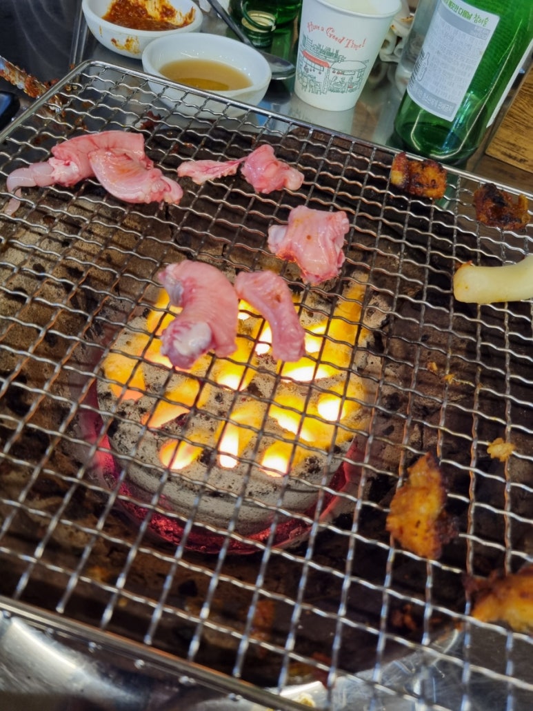 이원아나고곰장어 이미지