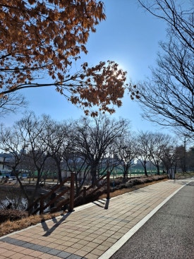 자연사랑대패 이미지