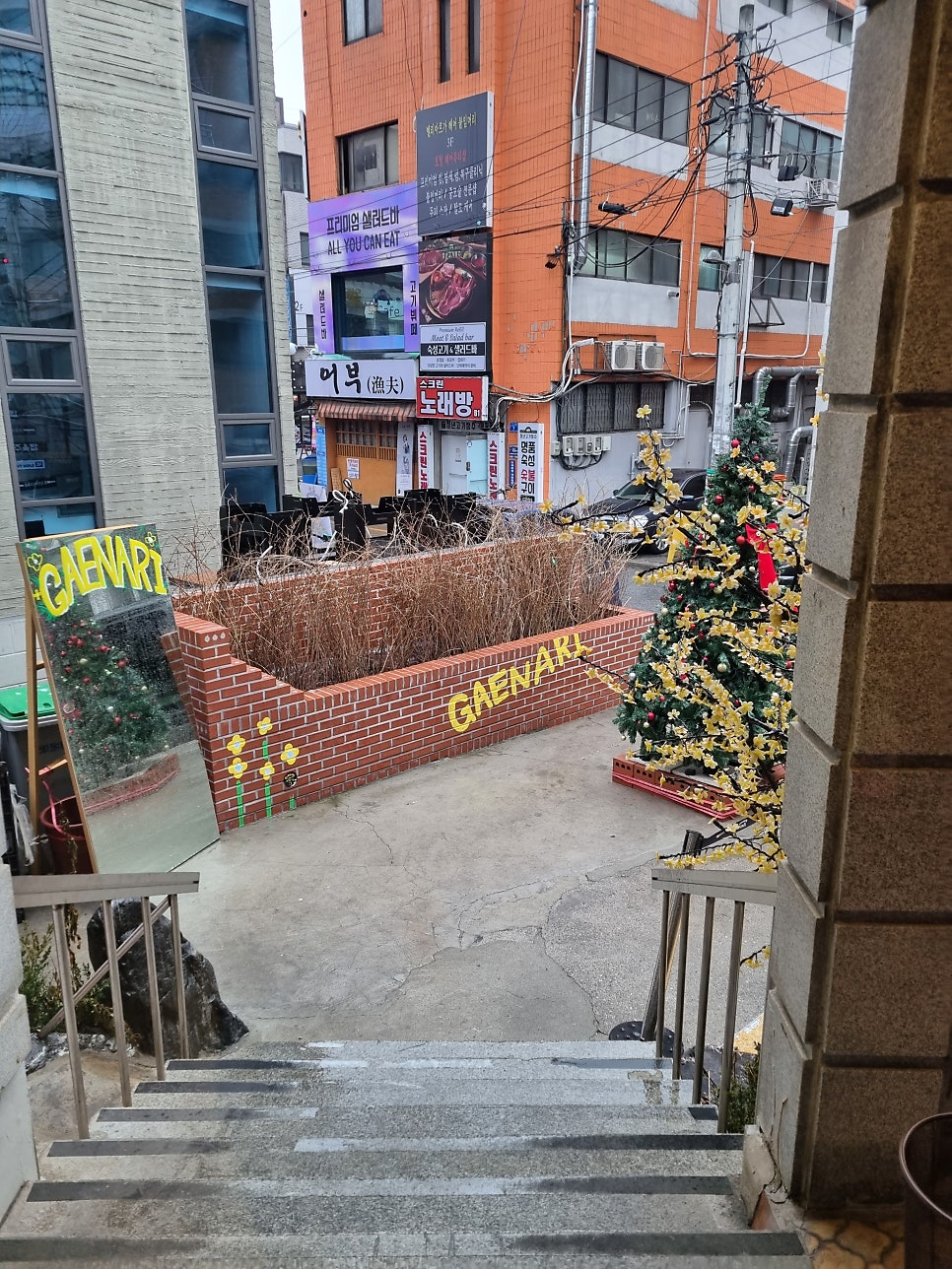 개나리아구찜 이미지