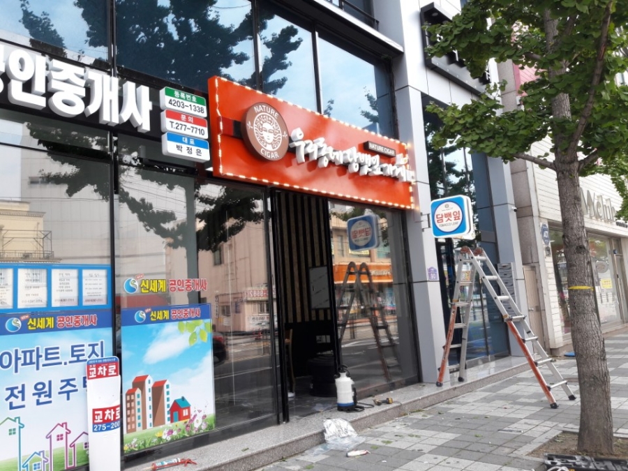 바른담뱃잎 이미지