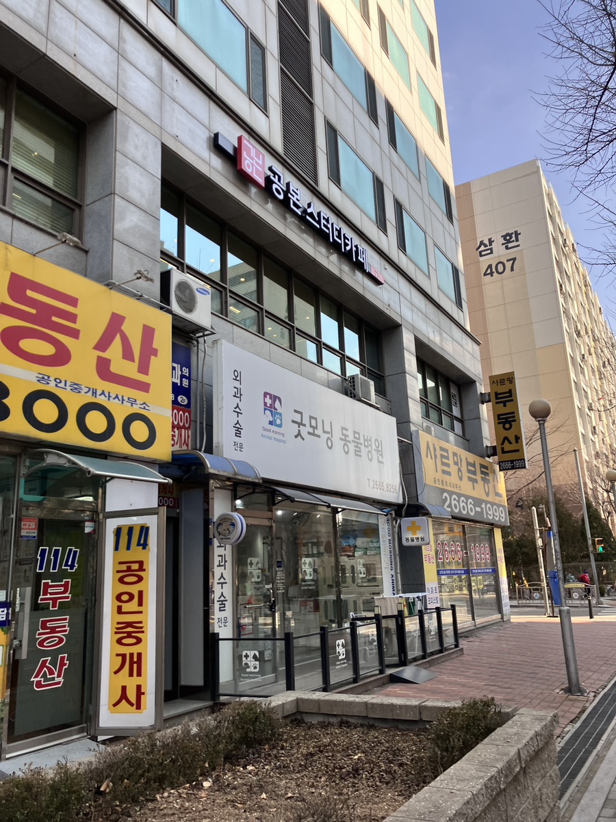 굿모닝동물병원