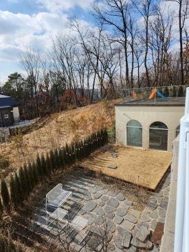 파티수용인 이미지