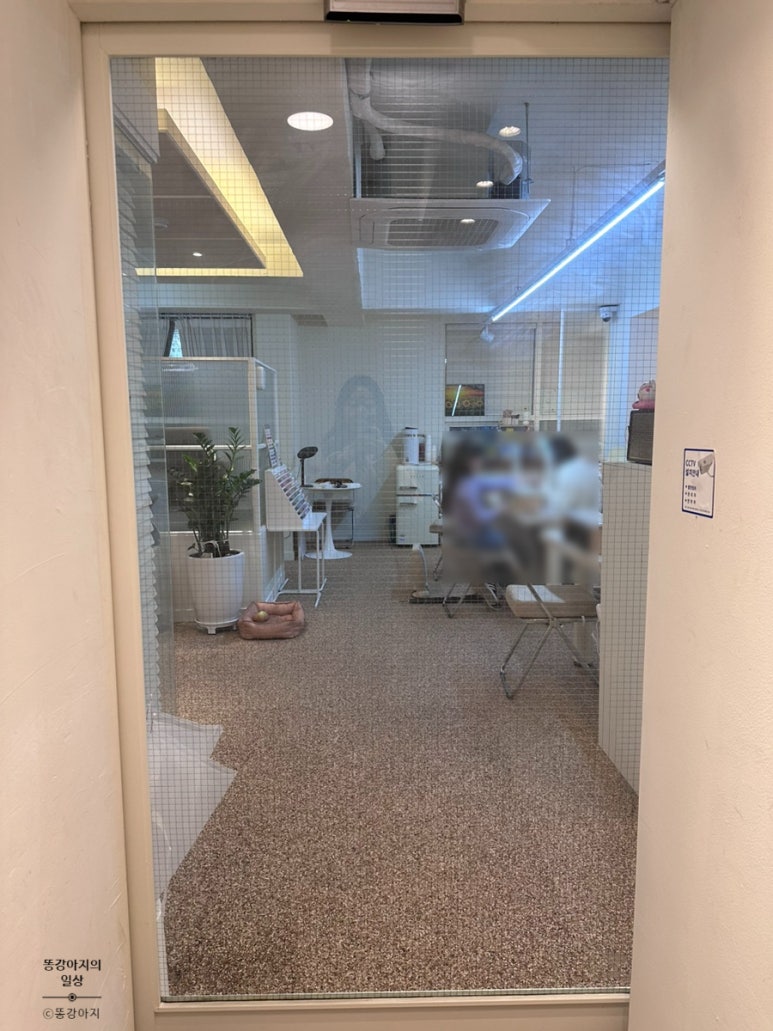 가로수노래연습장 이미지