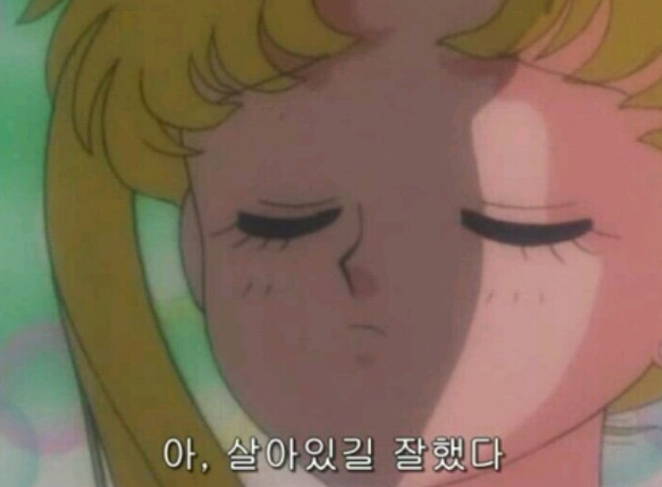 오너쉐프 이미지