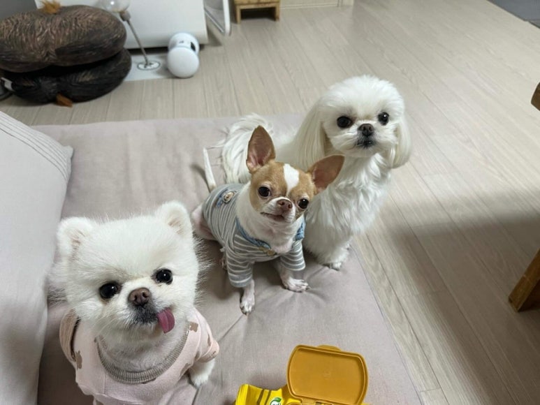오산다이브리조트 이미지