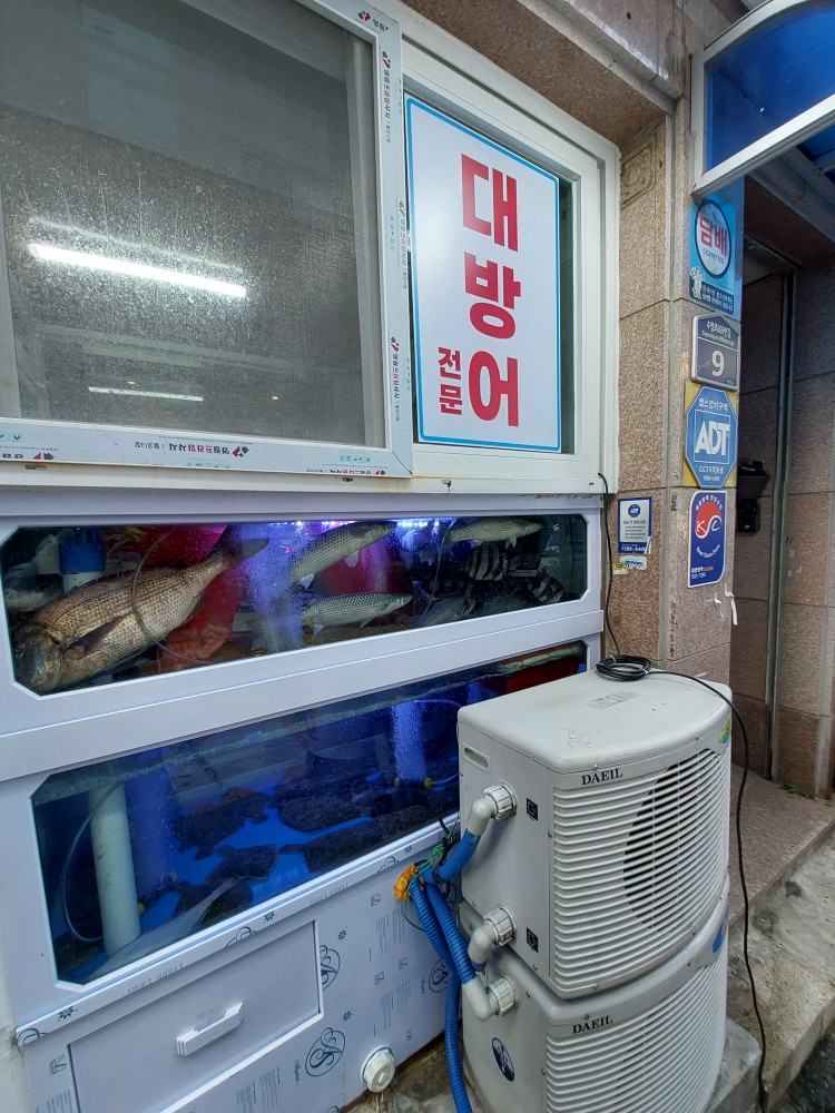 구명애포항물회 이미지