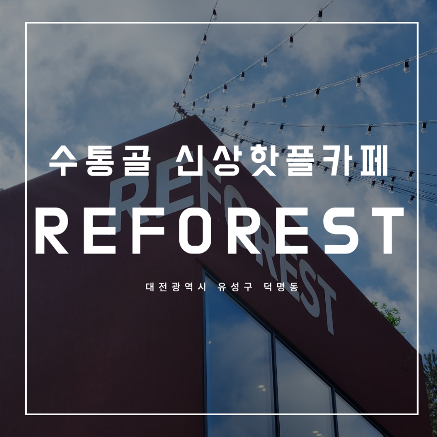레포레스트(REFOREST) 이미지