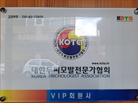 드메이 이미지