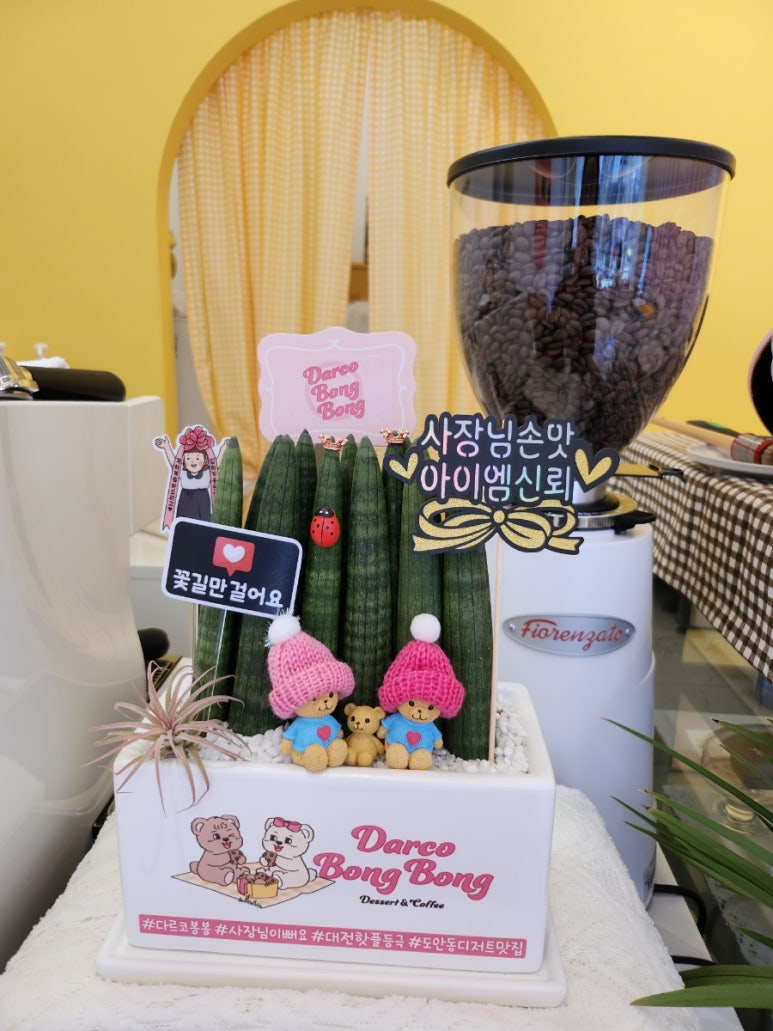 다르코봉봉 이미지