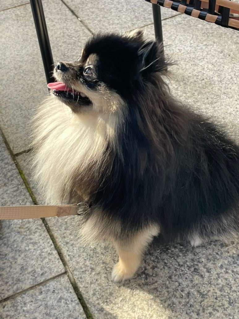 준삼형제글램핑 이미지