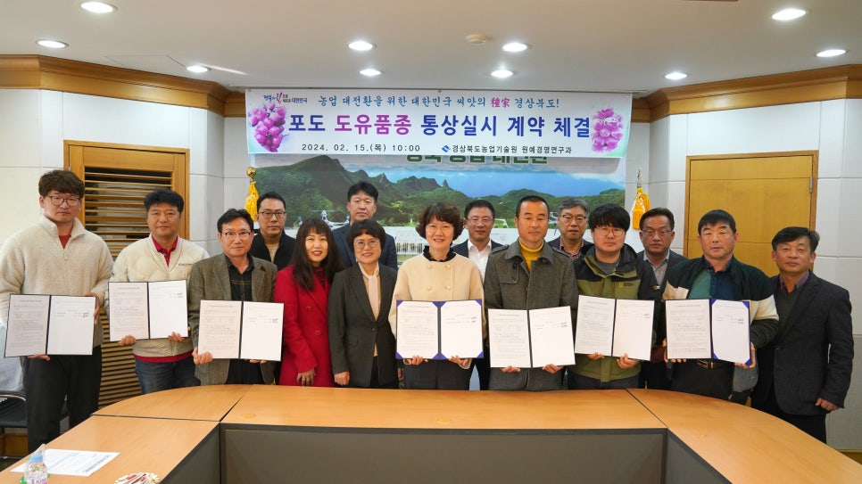색깔포도 이미지
