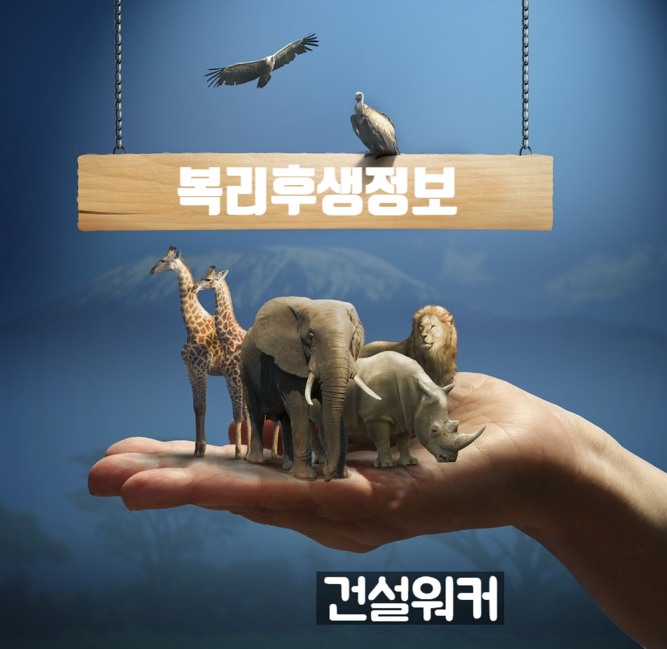 에이에이건축사사무소 이미지