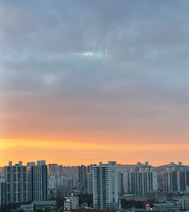 한잔회 이미지