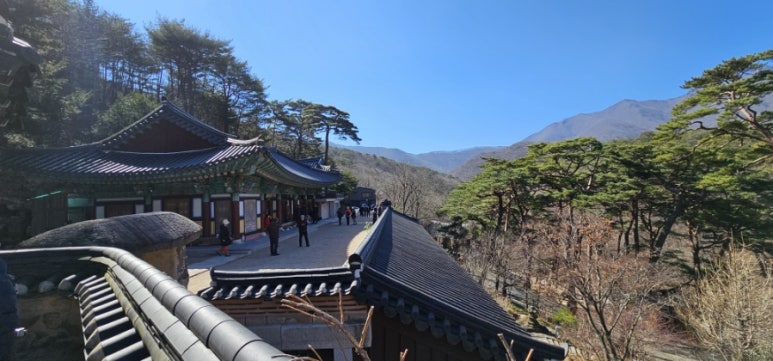 통도사평생교육원 이미지