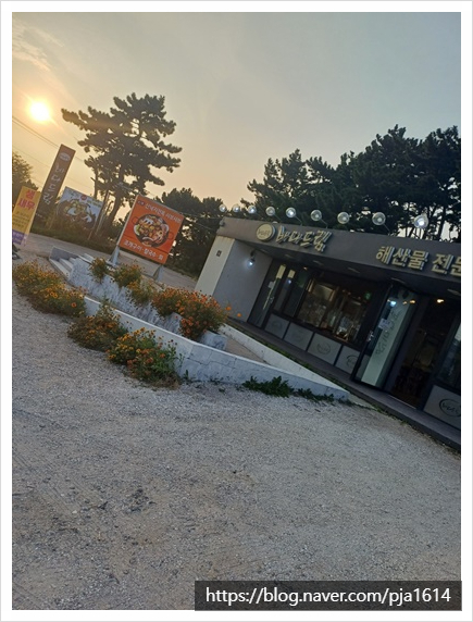 바다드림 이미지