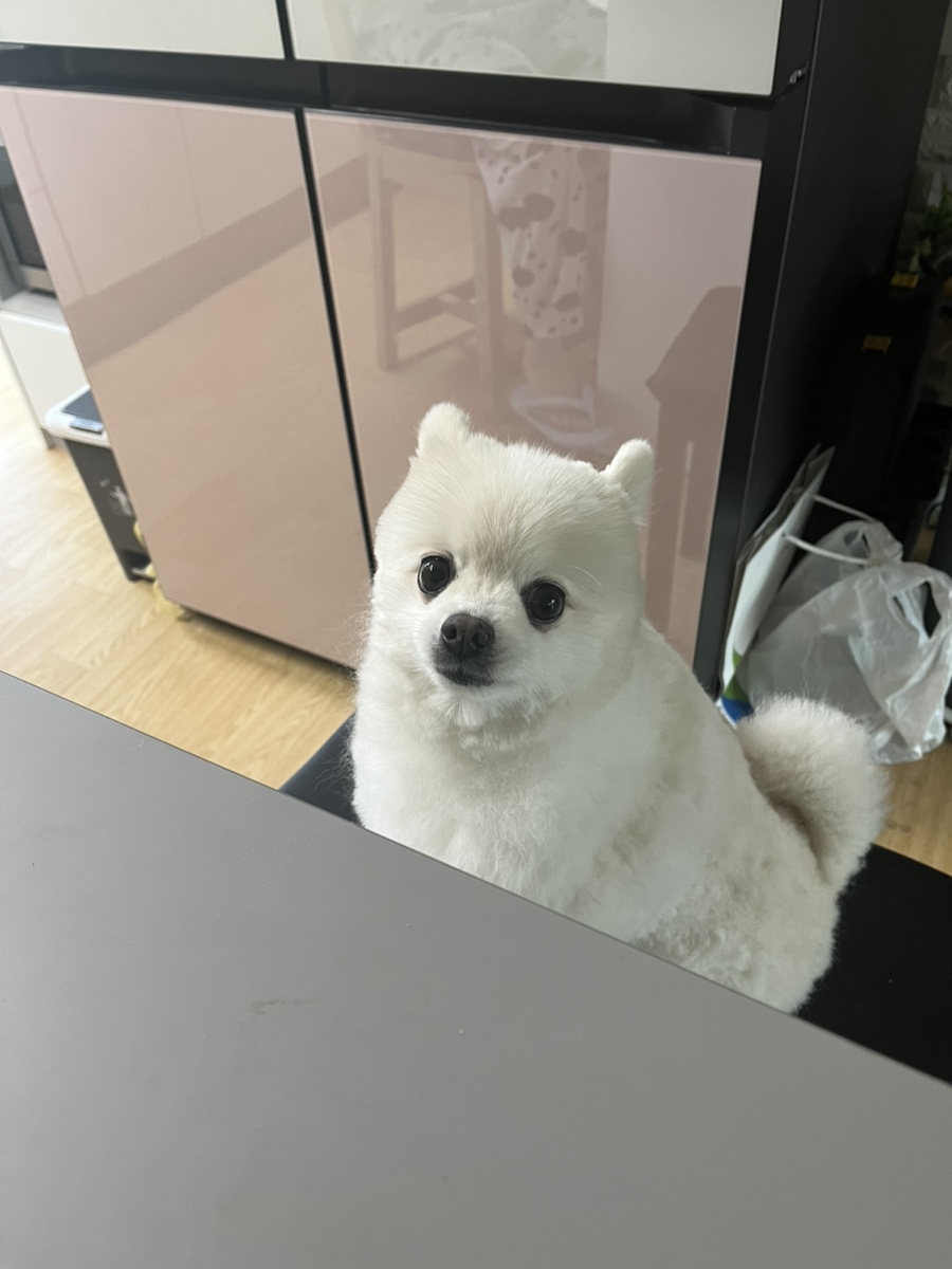 호야네뒷고기 이미지