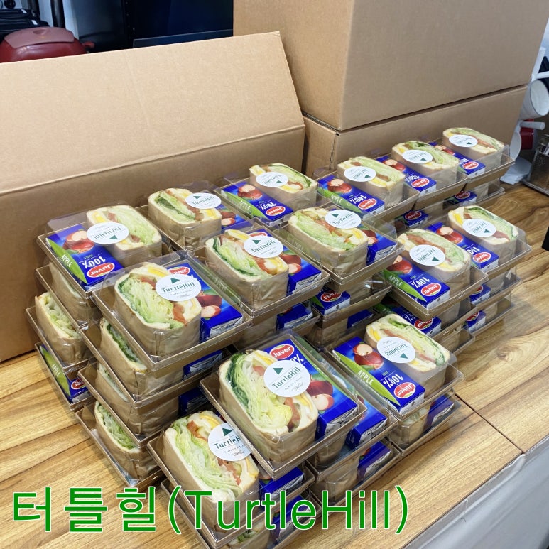 터틀힐 이미지