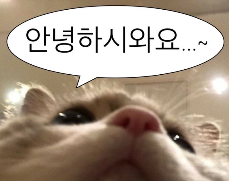 카페 NSW 이미지