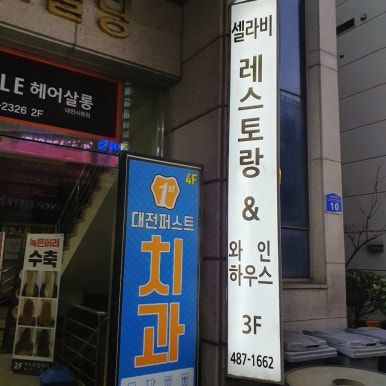셀라비살롱 이미지