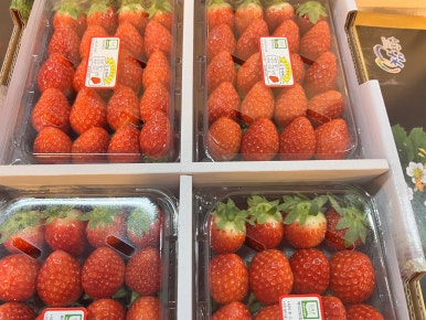 신선농수산물유통 이미지