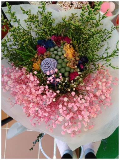 민주수경재배꽃집 이미지